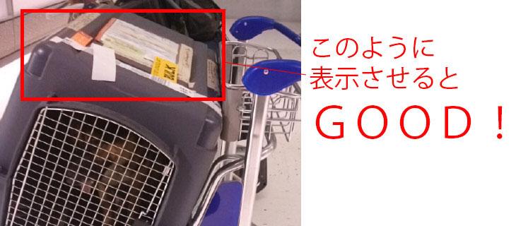 国際空港と愛犬書類審査 国際空港と愛犬書類審査