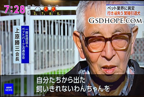繁殖引退犬の里親問題6