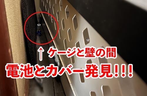 犬ボタン電池食べた?